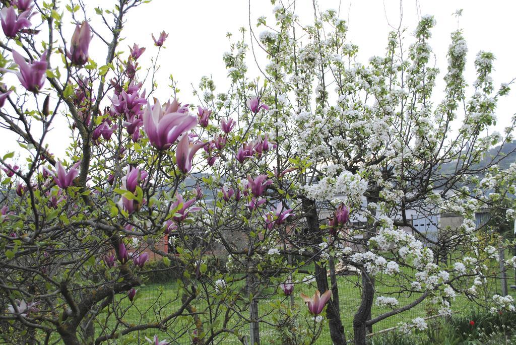 Bed & Breakfast A Casa Di Gianna Rieti